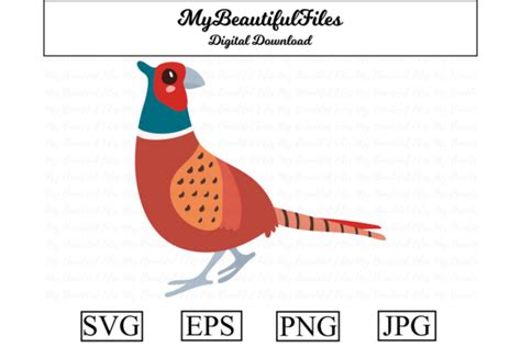 Pheasant Clipart Design Graphic By MyBeautifulFiles Creative Fabrica