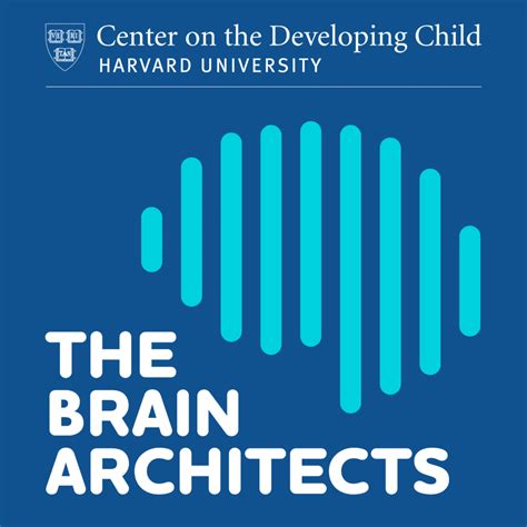 Brain Architecture Laying The Foundation Information For Practice