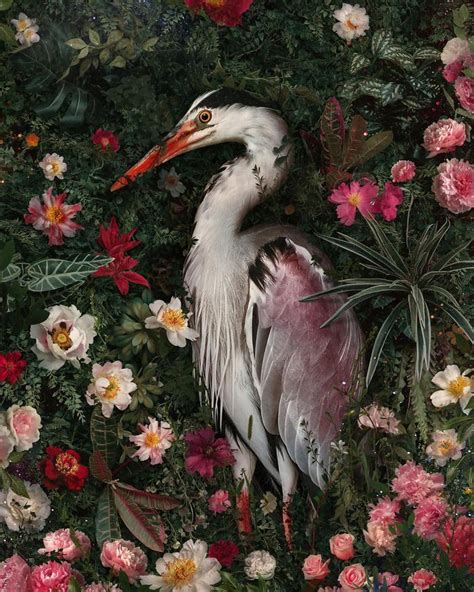 瑞典摄影师andreas Häggkvist为濒危动物制作了一组肖像