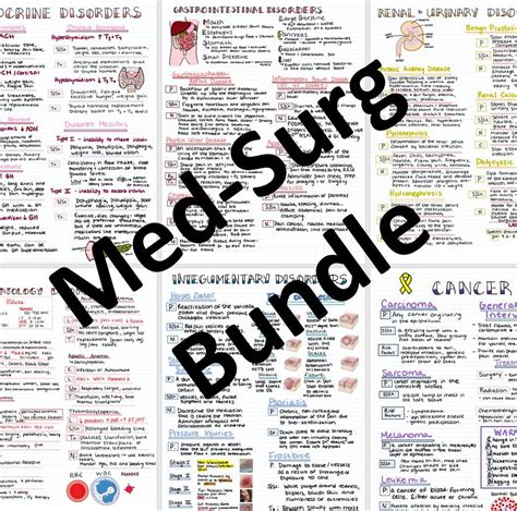 Med Surg Basics Bundle Nursing Study Guide Nursing Cheat Sheet