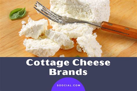 Cottage Cheese Brands To Discover Deliciousness Soocial