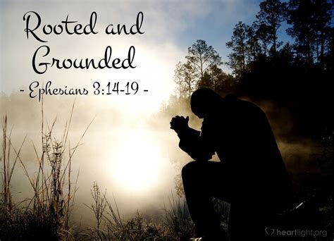 Rooted And Grounded — Ephesians 314 19 Praying With Paul