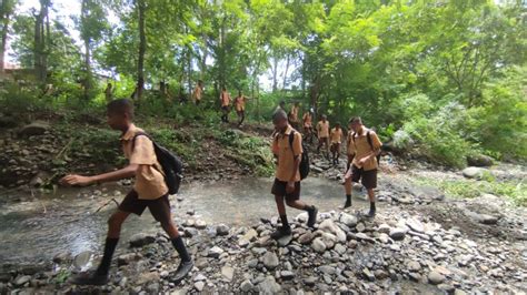 Kisah Perjuangan Pelajar Smp Di Sikka Seberangi Sungai Dan Menantang Maut Agar Bisa Sekolah