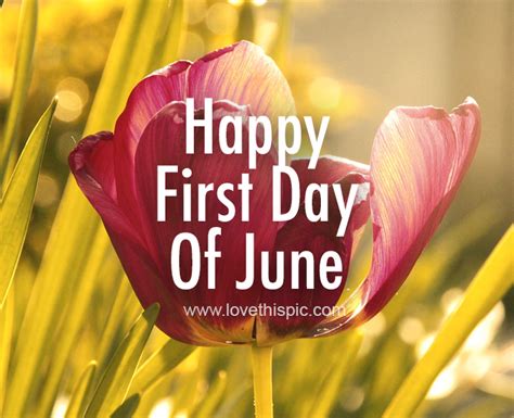 Tulip Petal Happy First Day Of June June June Quotes Happy June First