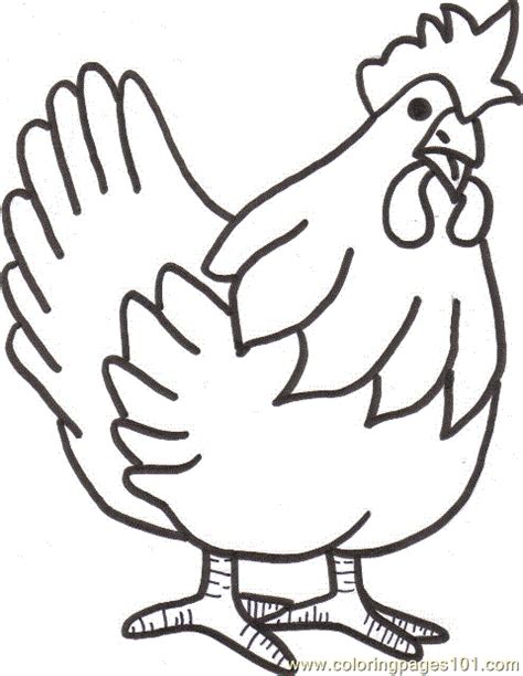 53 Gambar Ayam Untuk Anak Paud Paling Bagus Gambar Pixabay