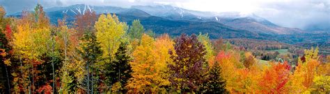 Foliage Forecaster - Vermont Vacation - The Official Vermont Tourism 