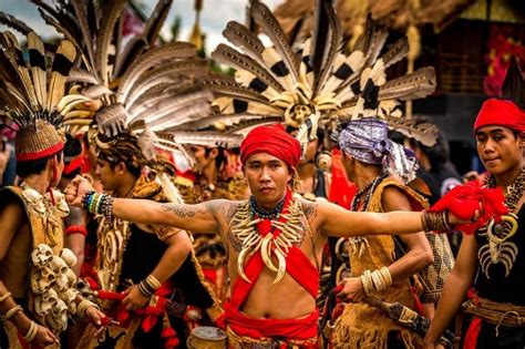 Mengenal Lebih Dekat Adat Budaya Dan Asal Usul Suku Dayak Travellink
