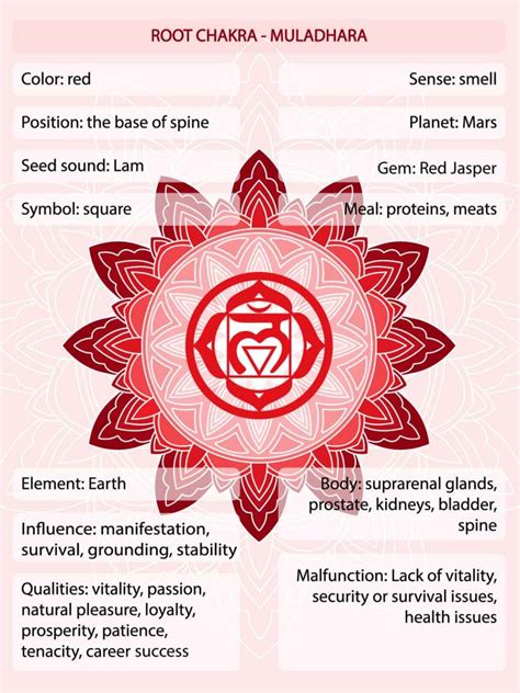 Red Chakra Meaning The Root Chakra Color Explained 2024 • Colors
