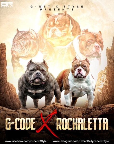 The G Code X Rockaletta Gnetix Bullies Australia