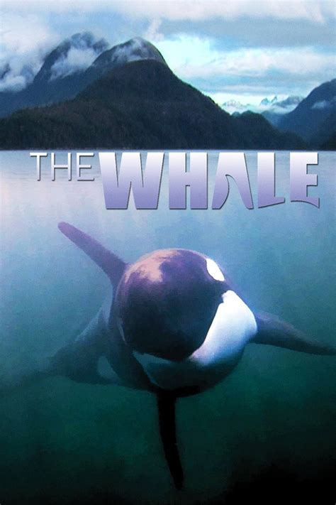 The Whale Subtitles English