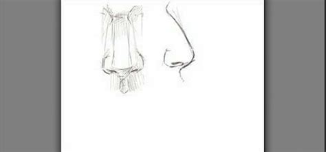 How To Draw Male Noses Drawing And Illustration Wonderhowto