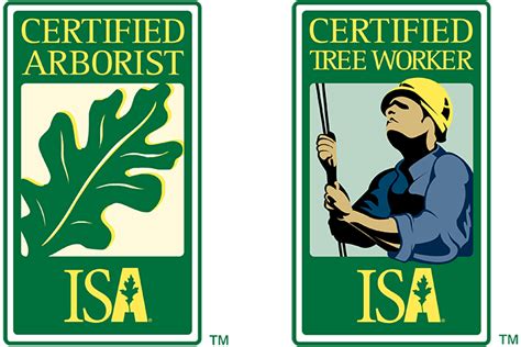 Why Hire An Isa Certified Arborist For Tree Care Tree Doctors Inc