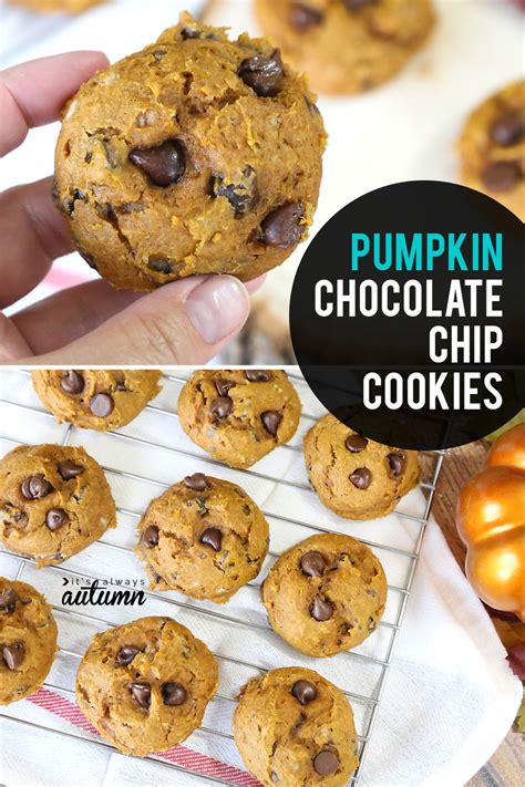easy  ingredient pumpkin chocolate chip cookies   autumn recipe pumpkin
