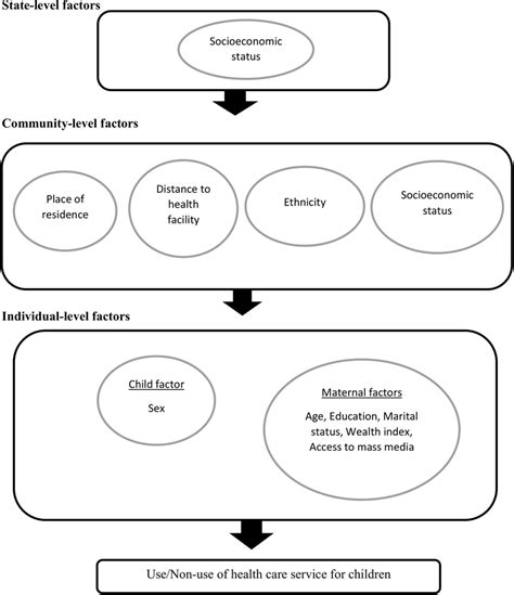 Conceptual Framework Showing The Factors Influencing Health Care