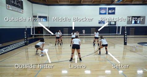 7 Volleyball Positions Find Out Where You Fit On The Volleyball Court