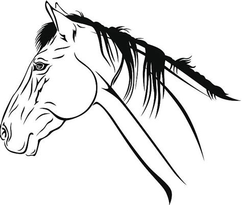 Best Horse Eye Illustrations Royalty Free Vector Graphics And Clip Art