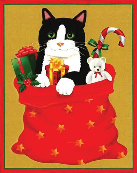 Amazon Com Entertaining With Caspari Cat In Santa S Sack Christmas