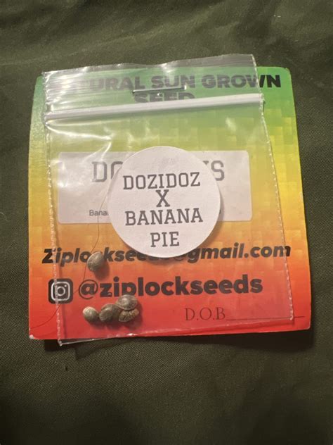 Dozidoz X Banana Pie Ziplock Seeds Neptune S Auctions