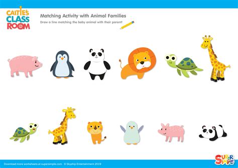 Matching Activity With Animal Families Super Simple