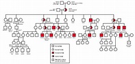 Queen Victoria's family tree with Hemophilia genetic markers | Teaching ...
