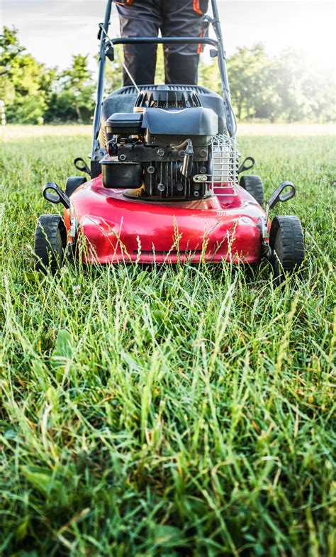 What is the best diy lawn care subscription? Summer Lawn Care | Lawn care, Summer diy, Lawn