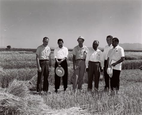 Norman Borlaug And Visitors At Centro De Investigaciones Agricolas Del
