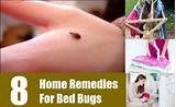 Home Remedies For Pest Removal Photos