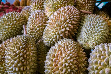 Kadayawan Durian Festival 2019 Eat Well Travel Often