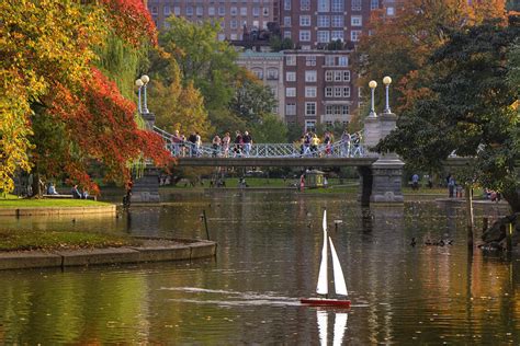 Boston Public Garden Photograph By Joann Vitali Fine Art America