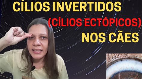 CÍlios Invertidos CÍlios EctÓpicos Nos CÃes Youtube