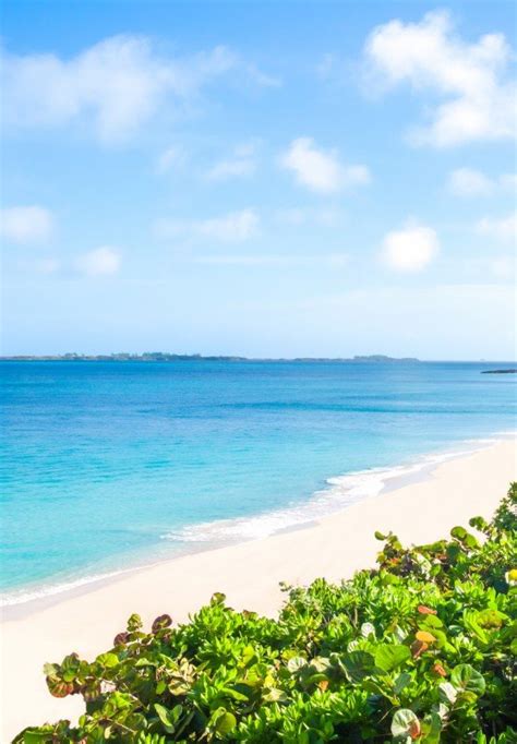 Official Nassau Paradise Island Bahamas Vacation Guide Bahamas