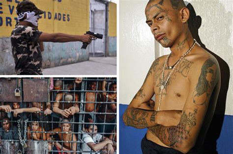 Mara Salvatrucha Ms 13 El Salvador Gang Aim To Top Global Murder Table