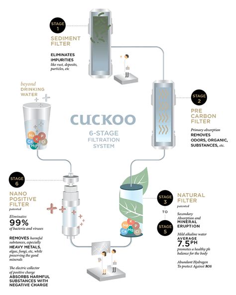 Masih seputar minum obat, ada juga mitos lainnya yang beredar bahwa tidak boleh langsung berbaring usai minum obat. Mana Lagi Bagus Cuckoo VS Coway - Lottepi.com Berkongsi ...