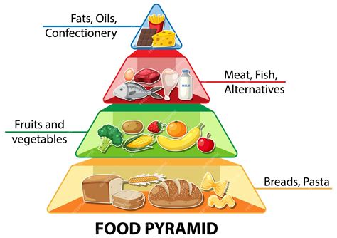 Infografía De La Pirámide Alimenticia De Dibujos Animados Una Guía