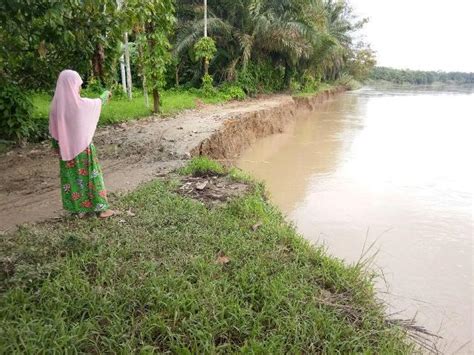 Akibat Banjir Tahunan Luas Desa Tanjung Seumeuntoh Berkurang Lentera Com