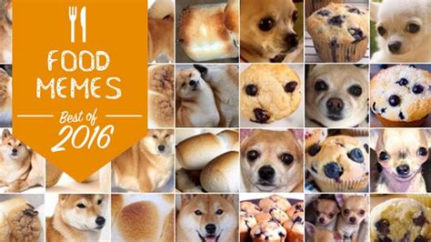 The 10 Best Food Memes Of 2016 Ranked Food Meme