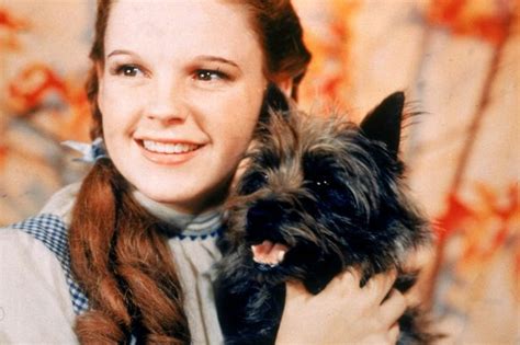 Wizard Of Oz Munchkins Didnt Just Grope Judy Garland They Were Also