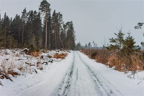 Winter Snowy Road By The Field And A Forest Stock Image Image Of Road