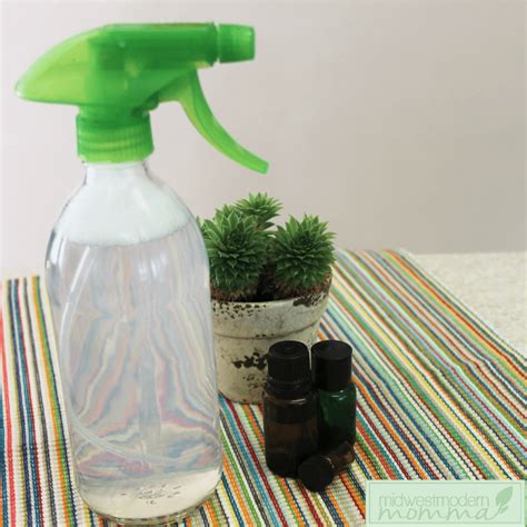 Diy Mold And Mildew Removal Spray Midwest Modern Momma