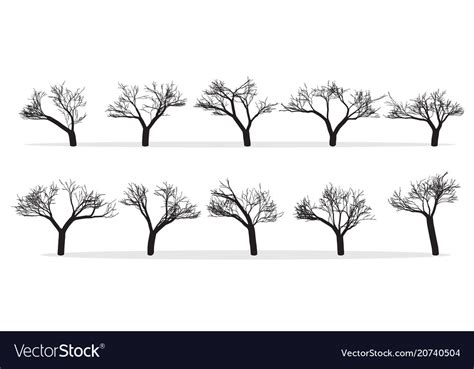 Naked Trees Silhouettes Set Hand Drawn Isolated Vector Image