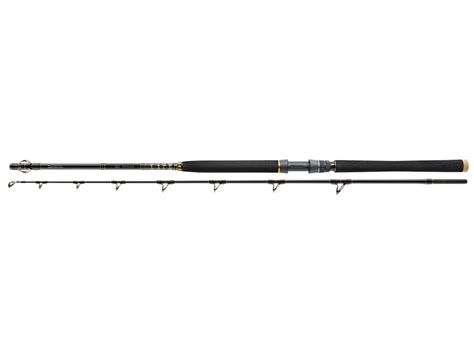 Daiwa Rods BG Deep Sea Sea Fishing Rods PROTACKLESHOP