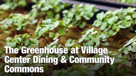 The Greenhouse At Village Center Dining And Community Commons Cu