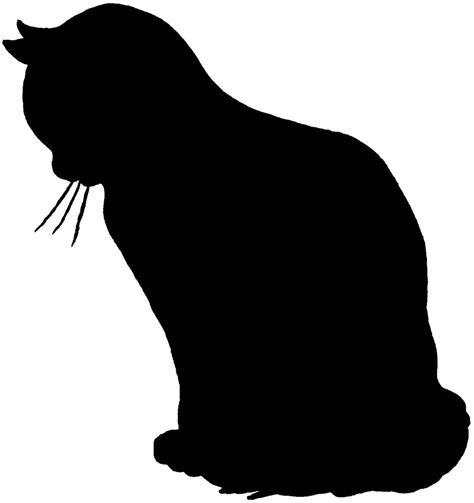 Cat Silhouettes Cat Silhouette Silhouette Art Silhouette