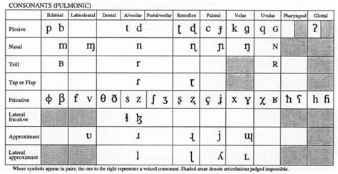 Ipa Consonant Chart