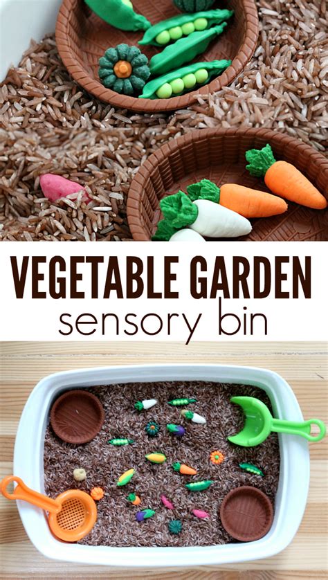 Explore Vegetables With This Great Vegetable Garden Sensory Bin This