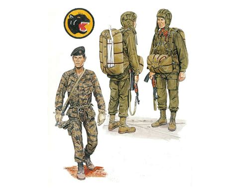 Military Art Military Uniforms Military Jacket Uniform Insignia