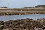 「留下藻礁才可能2050淨零碳排」 環團籲三接遷址再拋天然氣發電退場-風傳媒