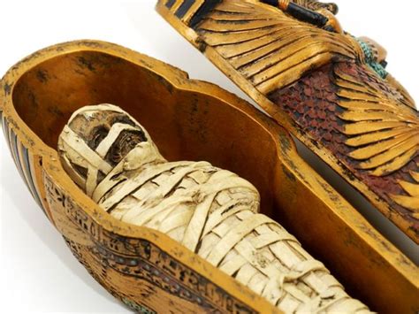 mummy s curse heart disease is an ancient scourge in 2020 egyptian mummies egypt mummy mummy