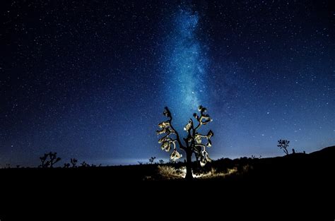 Sunset And Stars Meet Up Joshua Tree Np National Park Geek