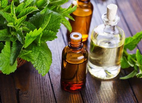 Create a natural disinfectant spray for your home by mixing the essential oil with white vinegar in a spray bottle. 8 Ways to Make Your House Smell Like the Holidays DIY SOME PEPPERMINT SPRAY The sweet a ...